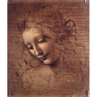 凌乱的头发（莱达）的年轻女子的头 达芬奇（Leonardo da Vinci） 