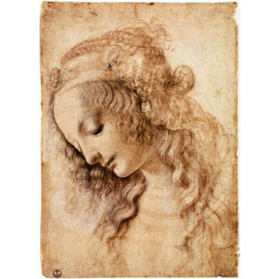 女人的头 达芬奇（Leonardo da Vinci）