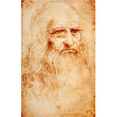 红色粉笔的自画像-达芬奇（Leonardo da Vinci） 名画临摹 复制