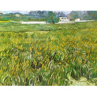 Auvers 与白宫的麦田 文森特 - 梵高   田园风景油画