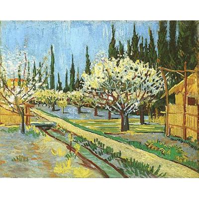 盛开的果园，被柏树包围 文森特 - 梵高  印象风景油画 酒...