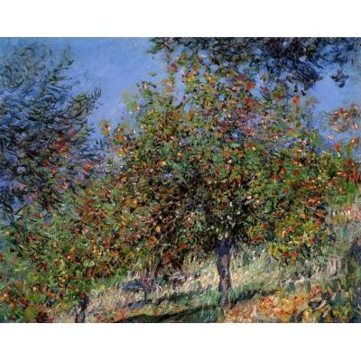 Chantemesle 山上的苹果树 克劳德·莫奈  印象花园景油画 