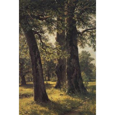 伊万·希什金 树林油画 