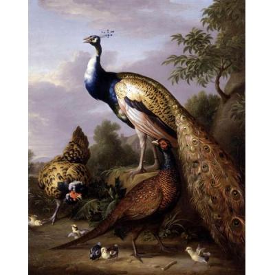 风景中的孔雀、母鸡和公鸡雉鸡 托拜厄斯·斯特拉诺弗 大芬油画 