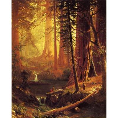 加利福尼亚的巨型红木树 阿尔伯特比尔施塔特 风景油画