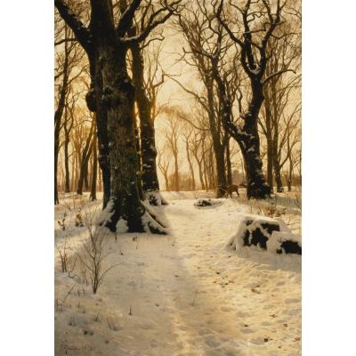 树木繁茂的冬季景观与鹿 (A Wooded Winter L...
