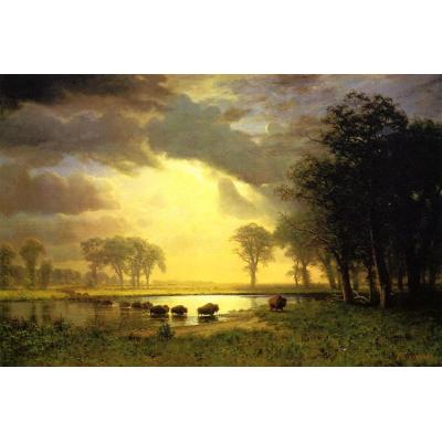 野牛小径 艾伯特·比尔施塔特 日期： 约1867 年 风格： 光主义 类型： 景观 媒体： 油彩、 帆布 地点： 美国马萨诸塞州波士顿美术博物馆 (MFA) 方面： 81 x 122 厘米