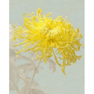 大芬油画村 手绘油画 黄菊写实装饰画 客厅卧室挂画 现代简约...