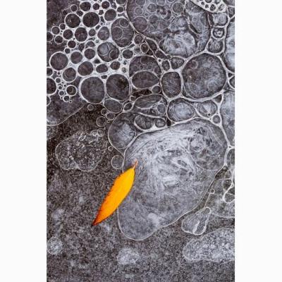 大芬油画村 手绘装饰画 冬日冰面落叶特写挂画 冷色调自然意境 客厅书房壁挂 定制尺寸